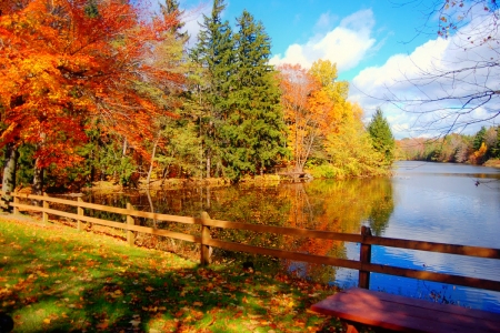 Colors of autumn - forest, fall, foliage, beautiful, leaves, lake, fence, river, trees, colors, autumn