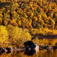 Autumn forest and lake