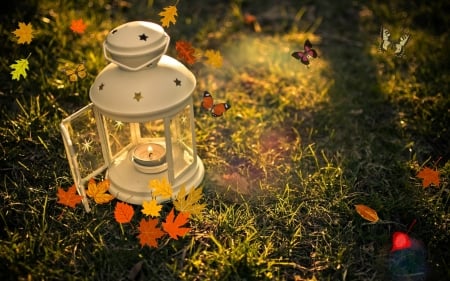 â—âœ¿â— - leaves, grass, butterflies, light