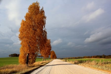 Autumn landscape. Rain clouds.