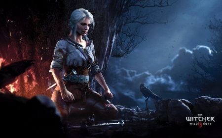 The Witcher 3 Wild Hunt - hunt, one, 3, video, games, Witcher, wild, xbox