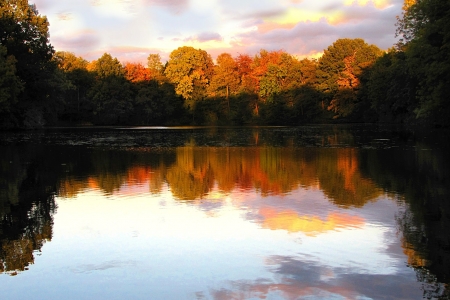 Evening Sun - nature, autumn, lake, trees, forest, reflection, sun