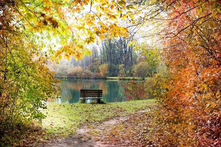 Colorful Autumn - trees, nature, autumn, bench, lake, forest