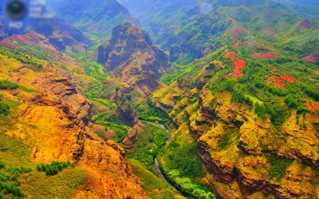 Fall Colors - valley, autumn, trees, plants