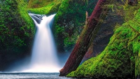 punch-bowl-falls-eagle-creek