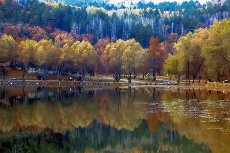 Autumn - reflections, beautiful, tranquil, forest, calmness, fall, colorful, shore, mirror, autumn, serenity, lake, sky