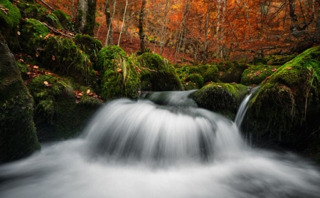 Waterfall - fall, waterfall, beautiful, autumn, leaves