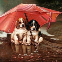 Two puppys in the rain