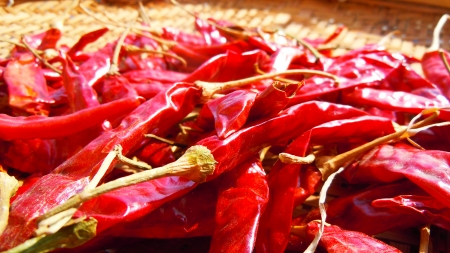 Red Chillies - spices, culture, food, texture