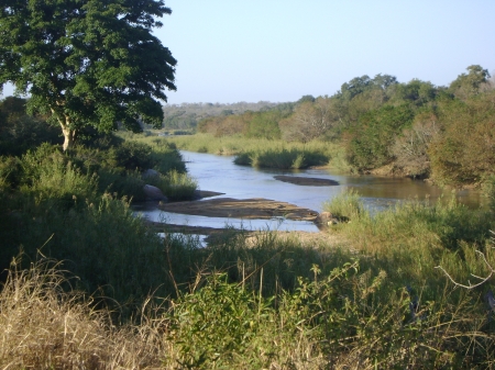 Leadwood - happy place, peaceful, tranquil, river