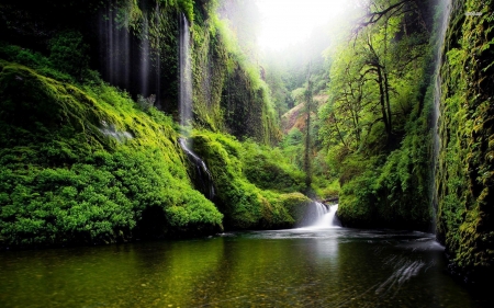 hidden waterfalls - tree, grass, waterfall, river