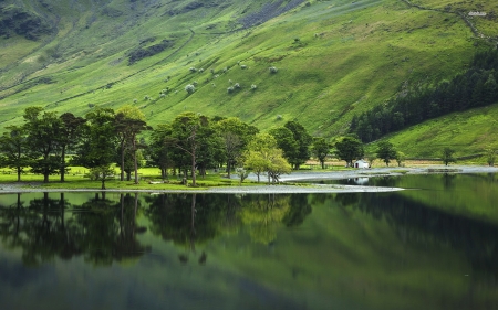 green lakeside - lake, reflection, mountain, tree