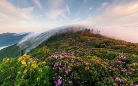 Beautiful Scenery - sky, nature, mountain, landscape