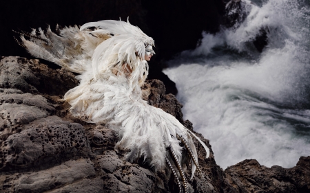 White feathers - woman, girl, model, waves, white, creature, feather, rock, sea