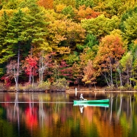 Autumn mirror