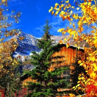 Wooden house in mountain