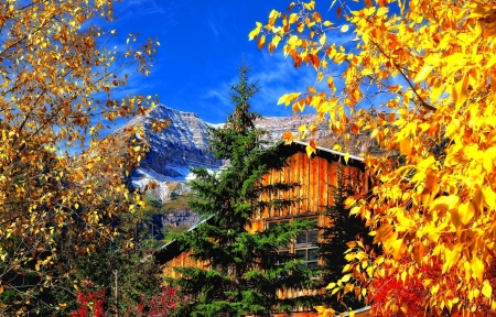 Wooden house in mountain - branches, autumn, sky, mountain, trees, colorful, wooden, fall, beautiful, leaves, cabin, house, cliffs