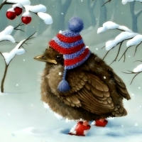 Cute Winter Bird