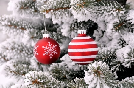 Christmas Balls - decoration, balls, snow, holidays, christmas, white, Ornaments, pine branches, red