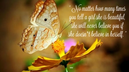 Beauty - nature, butterfly, animals, thoughts, words, flower, quotes