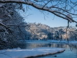 Winter Lake