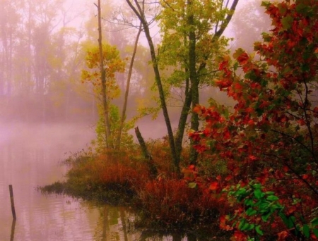 Autumn Mist - nature, autumn, lake, trees, fog, mist