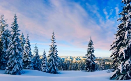 Nature In Winter - sky, landscape, hills, trees, clouds, snow