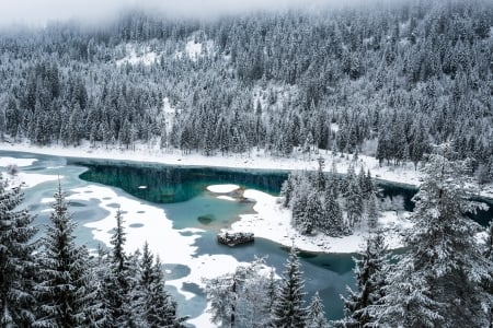 River In Winter - forest, trees, snow, landscape