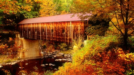 Covered bridge in autumn forest - covered, trees, beautiful, creek, forest, colorcul, fall, river, bridge