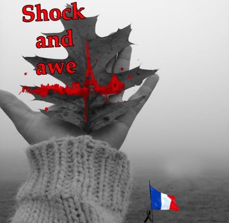 Shock & Awe.... :( :( - sorrow, sadness, people, france, terrorist attack, friday, paris, november