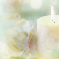 Candle and Rose