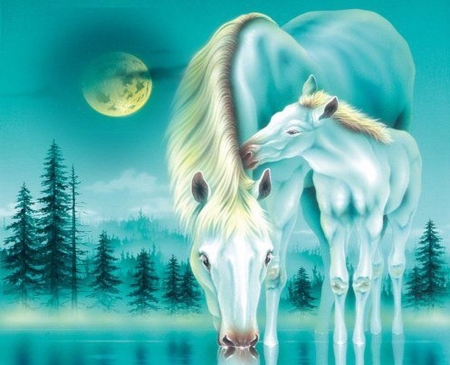 Fantasy Horses - moon, love, horse, digital art, magical, colors, fantasy