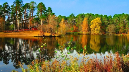 Autumn by the lake - sky, autumn, lake, trees, colorful, serenity, reflection, forest, tranquil, mirror, beautiful