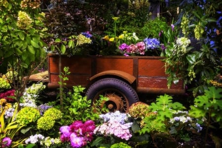 Trailer Full of Flowers - nature, love four seasons, photography, flowers, lovely still life, trailer