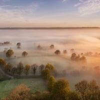 morning fog over sheep pastures