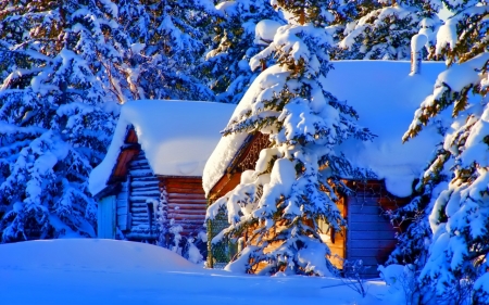 Winter House - house, snow, trees, nature