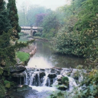 valley gardens