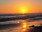 Beach Sunset,California