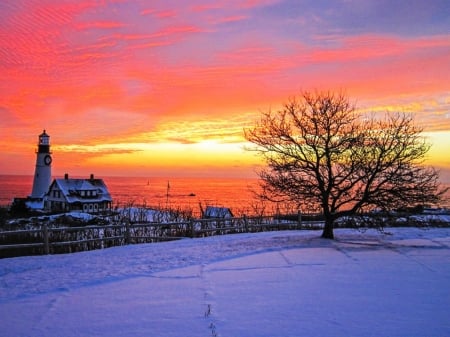 Portland Head Lighthouse, Maine - winter, coast, trees, sunset, snow