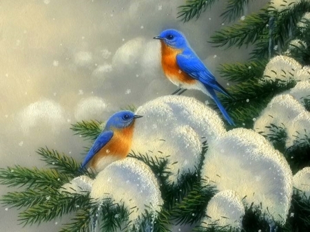 Blue Birds - xmas and new year, attractions in dreams, animals, winter, blue birds, love four seasons, holidays, snow, paintings, pine trees, birds