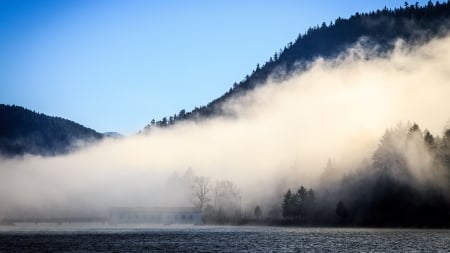 covered bridge in morning fog - covered, river, fog, forest, mountains, bridge