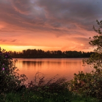 Pink Reflection in the River