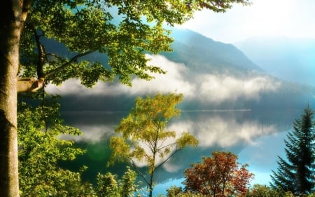 Sunrise on the Foggy River - mountains, foggy, river, trees, nature, sunrise