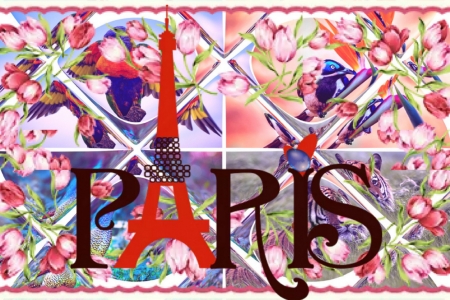 Siempre Paris - arriba, esperanza, con, animo