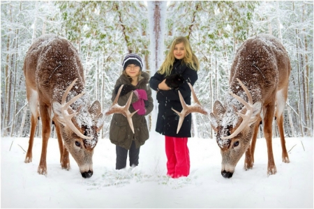 Reindeer Love & Joy - snow, Winter, children, REindeer