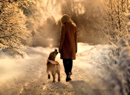 Winter Walk with Dog - winter, woman, dog, snow