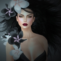 Beauty