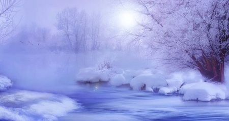 Blue winter - nature, morning, trees, photoshop, light, water, winter