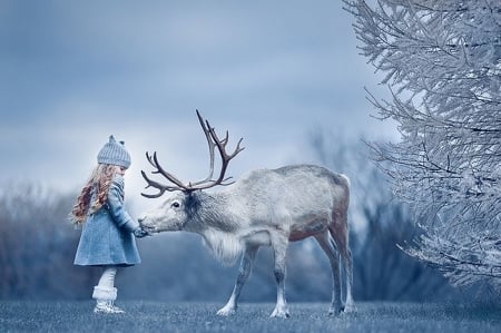 Friend - nature, trees, girl, photoshop, light, winter, friend