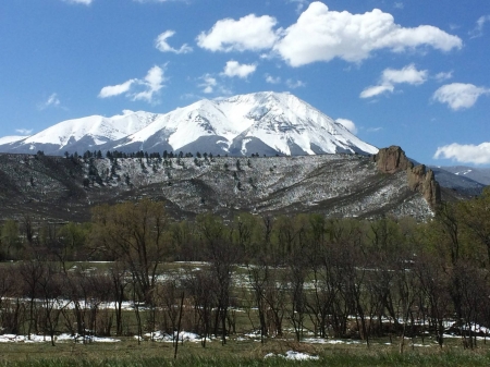 Devil's Peak - forest, cool, fun, nature, mountain